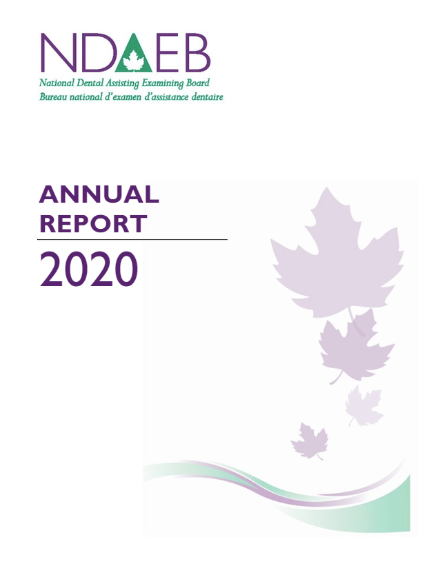 ndaeb-annual-report-2020